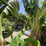 Laurisilva Sauna Y Piscina Apartamento Buzanada