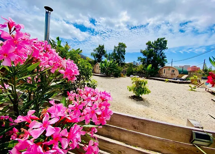 Apartament Laurisilva Sauna Y Piscina *